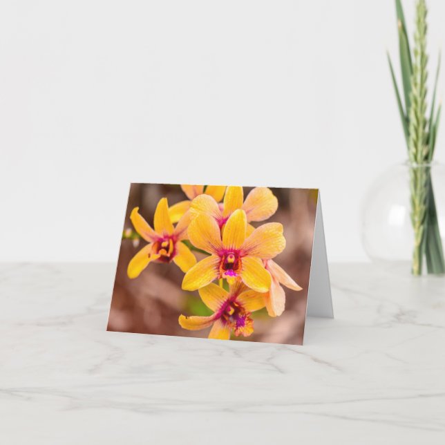 Yellow Orchid, Lawai, Kauai, Hawaii  Note Card (Front)