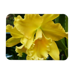 Yellow Orchid Magnet