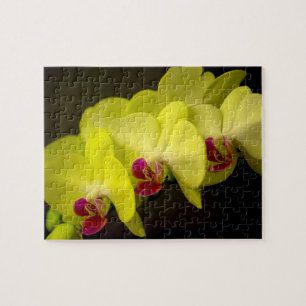 Yellow Orchid - Photo Puzzle