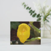 Yellow Orchid Postcard (Standing Front)