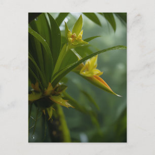 Yellow Orchid Rainforest Postcard