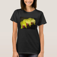 Yellow Orchid - T shirt
