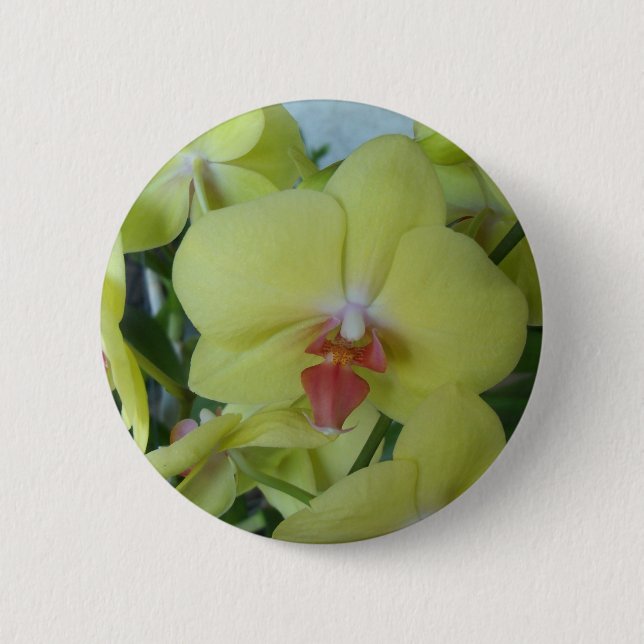 Yellow orchids 2 inch round button (Front)