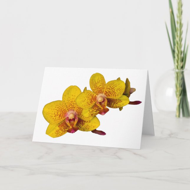 Yellow Orchids on White Card (Front)