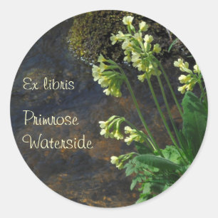 Yellow oxlip flowers bookplate sticker