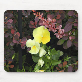 yellow pansies mouse pad