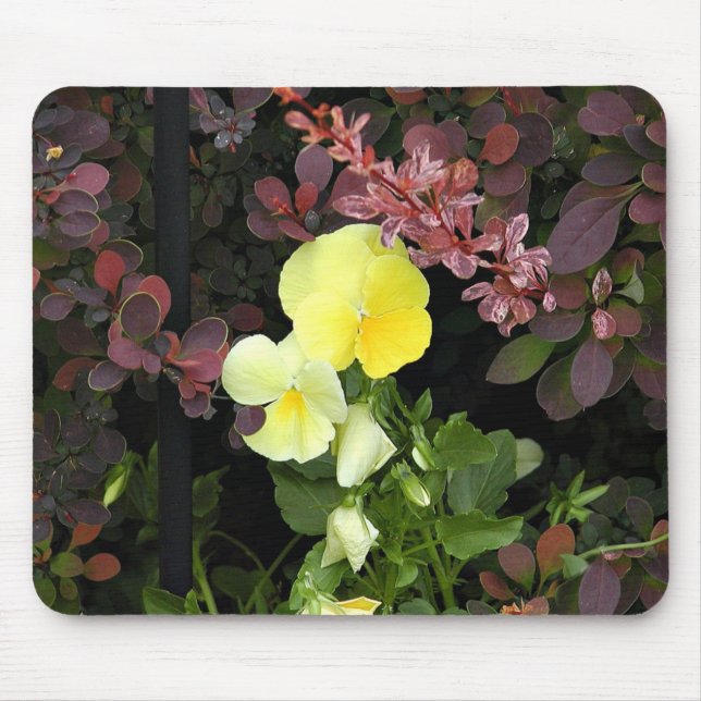 yellow pansies mouse pad (Front)