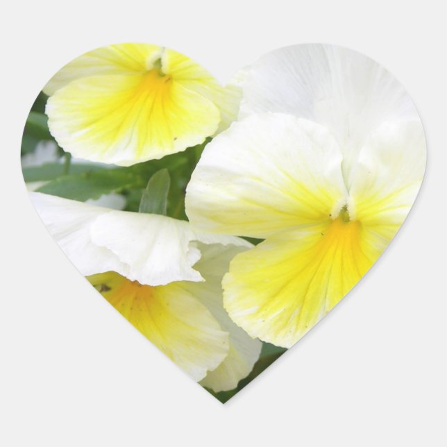 Yellow Pansies Stickers (Front)