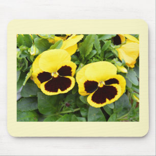 Yellow pansy flowers mouse pad