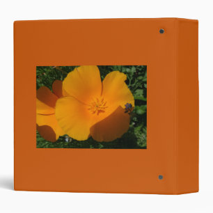 yellow, pansy,orange binder