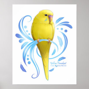 Yellow Parakeet Poster