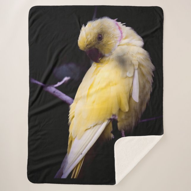 YELLOW PARAKEET SHERPA BLANKET (Front)