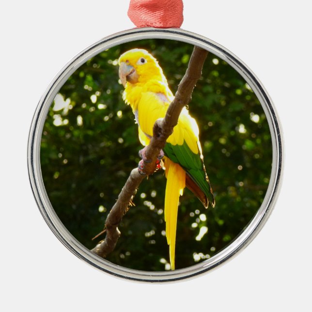 Yellow Parrot Metal Ornament (Front)
