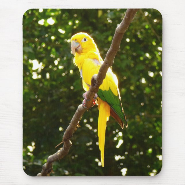 Yellow Parrot Mouse Pad (Front)
