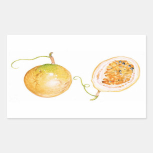 Yellow Passion Fruit Sticker