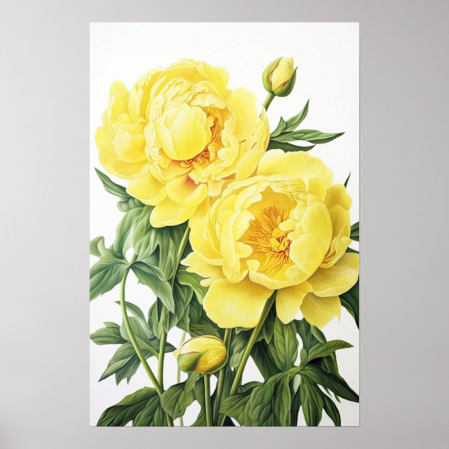 Yellow Peonies Flower Art Print Poster (Front)