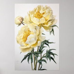 Yellow Peonies Flower Art Print Poster