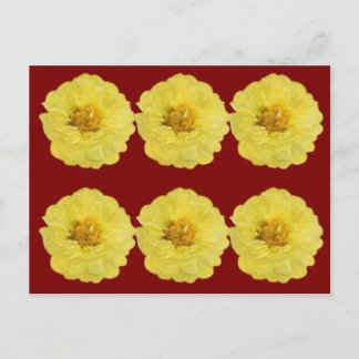 Yellow Peony Postcard. 黄色い牡丹のポストカード。 Postcard