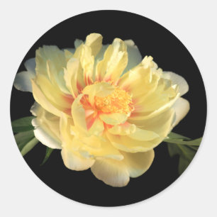 Yellow Peony Wedding Envelope Seal Stickers