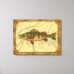 Yellow Perch on Map Canvas Print