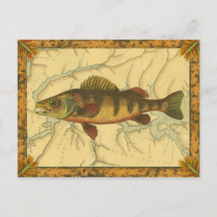 Yellow Perch on Map Postcard
