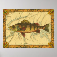 Yellow Perch on Map