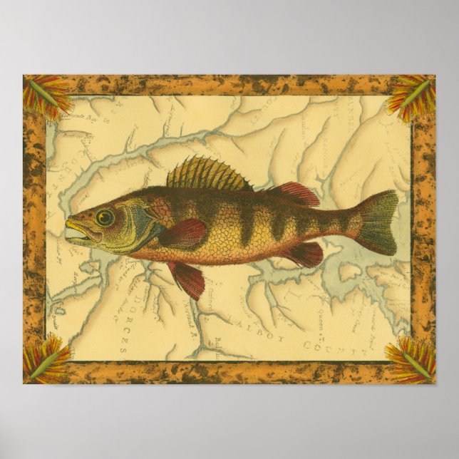 Yellow Perch on Map Poster (Front)