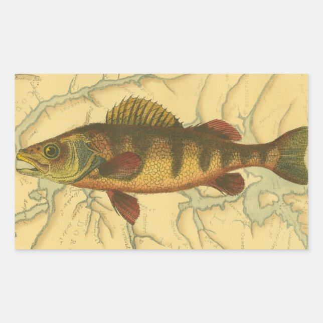 Yellow Perch on Map Sticker (Front)