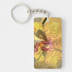 Yellow Phalaenopsis Purple Spots Keychain