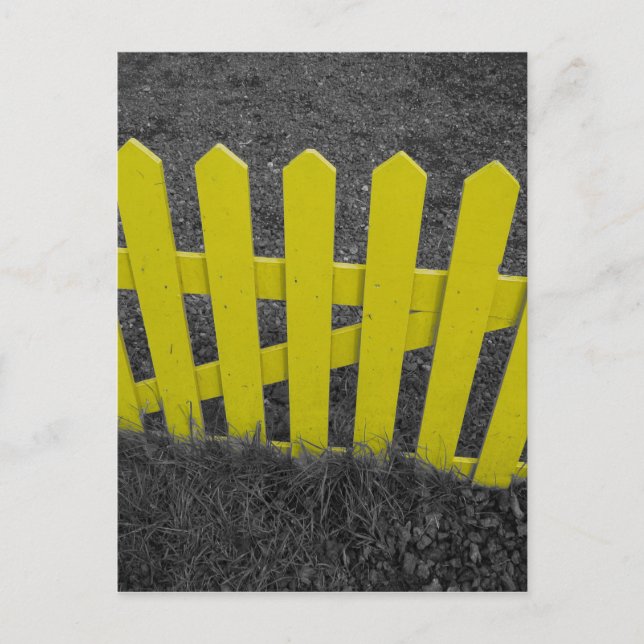 Yellow Picket Fence Postcard (Front)