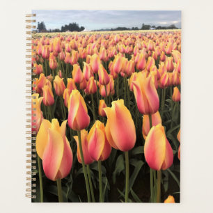 Yellow & Pink Tulip Field, Oregon Planner