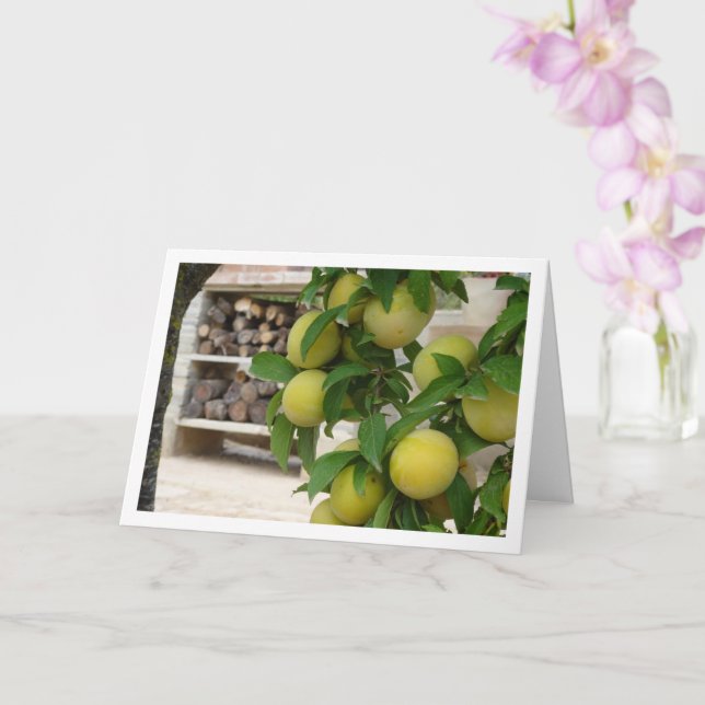 Yellow Plum Rustic Portrait Card (Orchid)