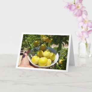 Yellow Plums in Bowl Card
