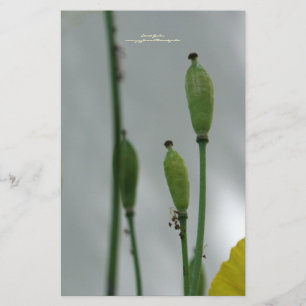 Yellow Poppies Shade 11 personalized Stationery