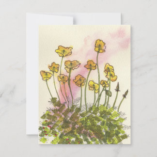 Yellow Poppies Wildflowers Greetings Card