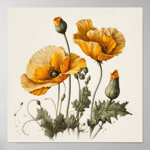 Yellow Poppy Flowers Art Print Poster