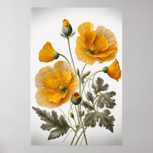 Yellow Poppy Flowers Art Print Poster