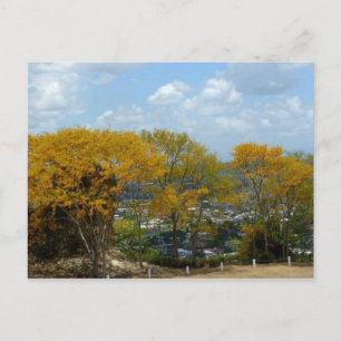 Yellow Poui Trees on San Fernando Hill Postcard