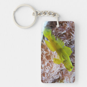 Yellow prawn-goby keychain