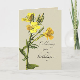 Yellow Primrose Birthday Card