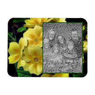 Yellow Primrose Flowers Add Your Photo Magnet