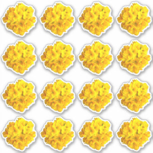 Yellow Primrose Flowers Pattern