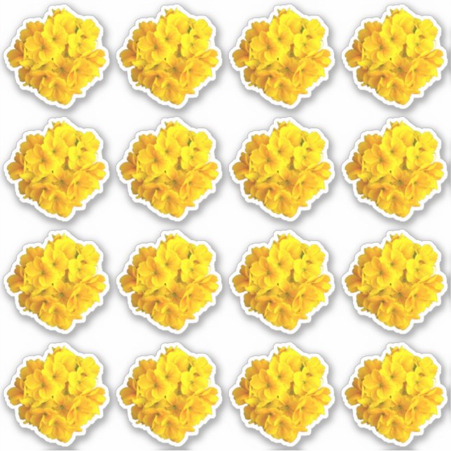 Yellow Primrose Flowers Pattern (Front)