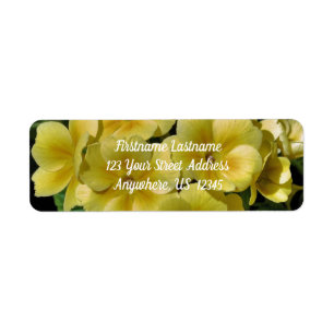 Yellow Primrose Spring Flowers Adresse