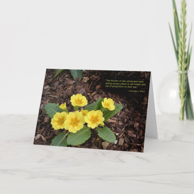 Yellow primroses: Spring is on the way! Card (Front)