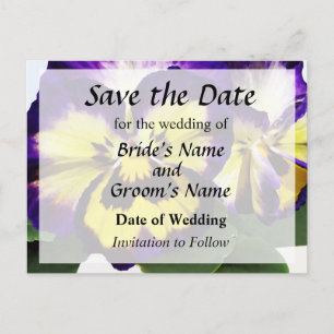Yellow Purple and White Pansies Save Date Announcement Postcard
