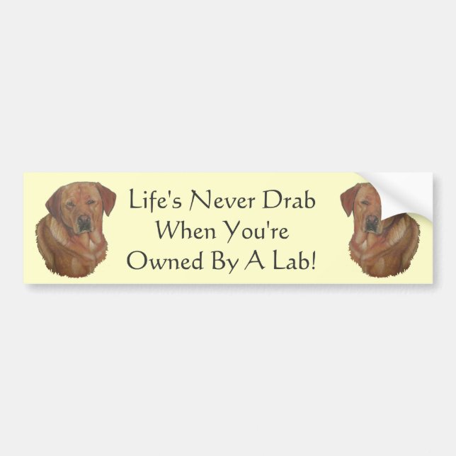 yellow red labrador retreiver with fun dog slogan bumper sticker (Front)