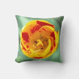 Yellow-red tulip, throw pillow