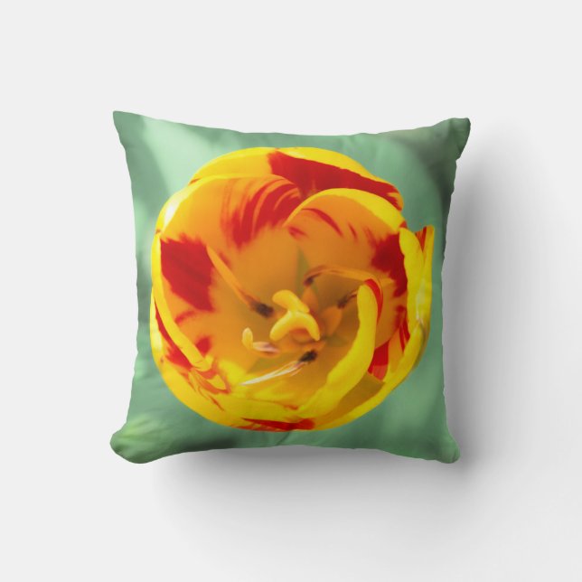 Yellow-red tulip,  throw pillow (Front)