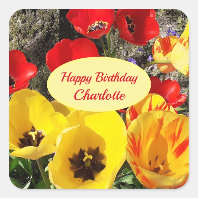 Yellow & Red Tulips Birthday   Square Sticker (Front)
